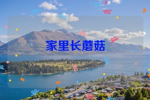 家里长蘑菇