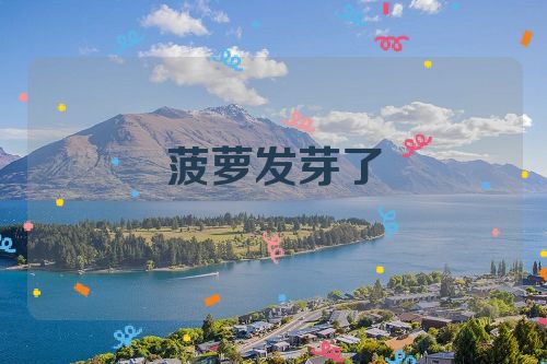 菠萝发芽了