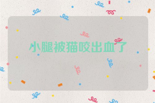 小腿被猫咬出血了