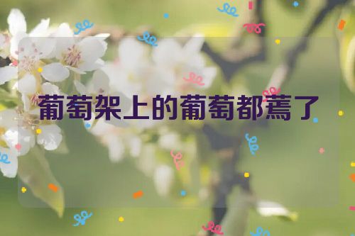 葡萄架上的葡萄都蔫了