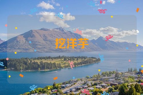 挖洋芋