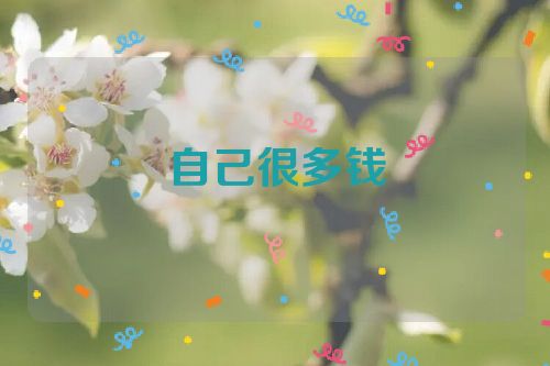 自己很多钱