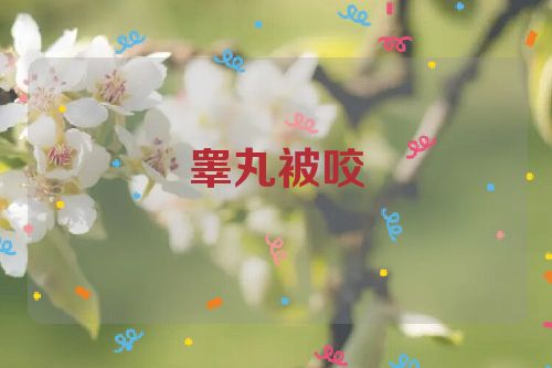 睾丸被咬