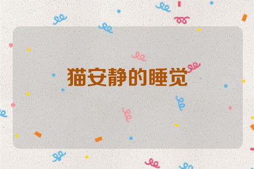 猫安静的睡觉