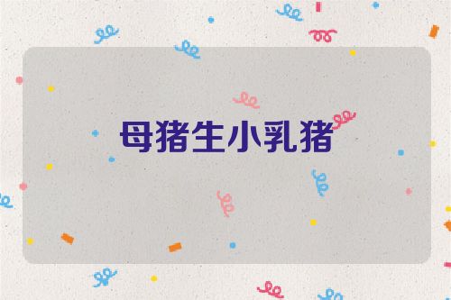 母猪生小乳猪