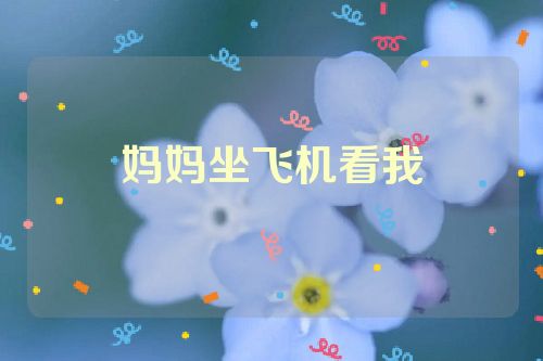 妈妈坐飞机看我