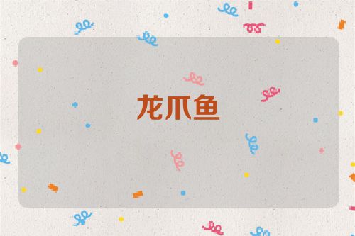 龙爪鱼