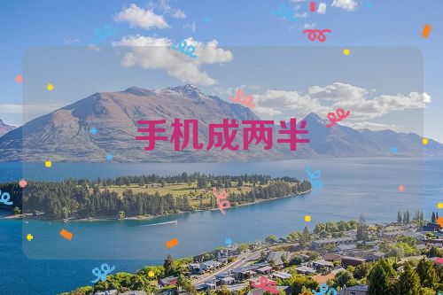 手机成两半