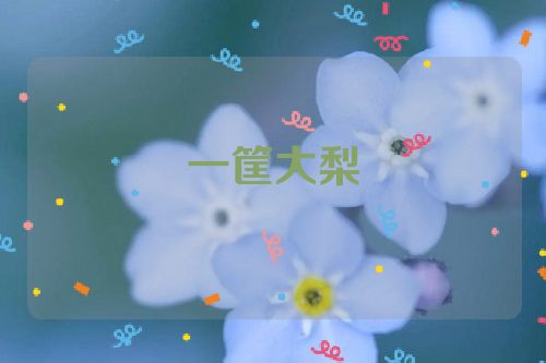 一筐大梨