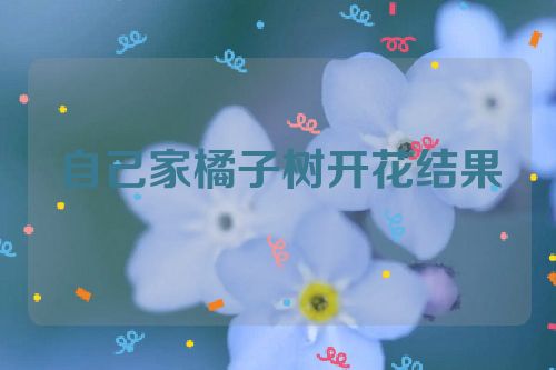 自己家橘子树开花结果