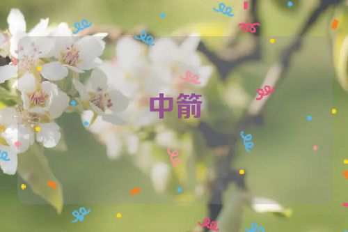 中箭