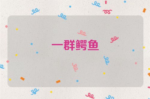 一群鳄鱼