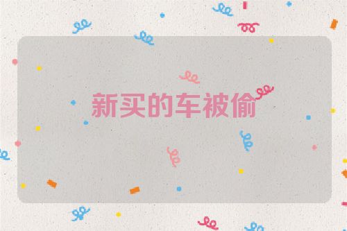 新买的车被偷
