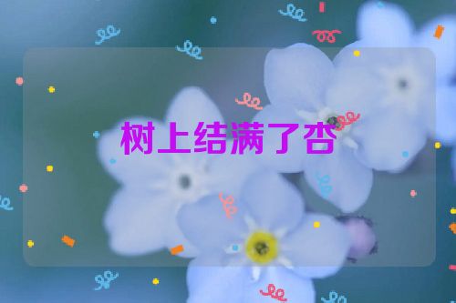 树上结满了杏