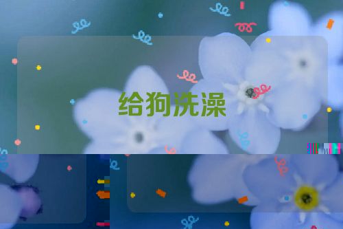 给狗洗澡