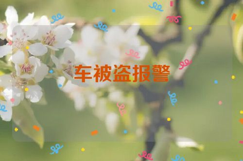 车被盗报警