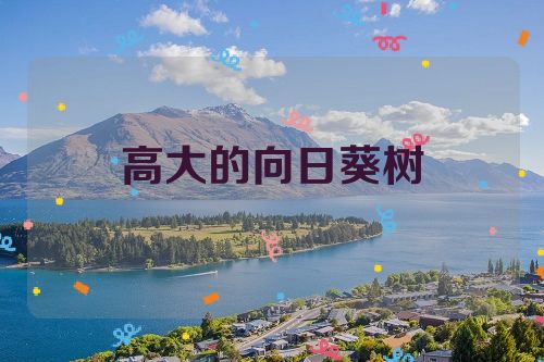 高大的向日葵树