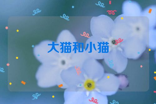 大猫和小猫