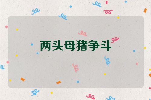 两头母猪争斗