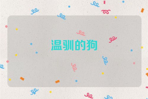 温驯的狗