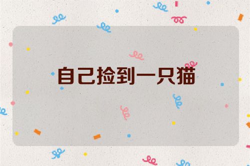 自己捡到一只猫