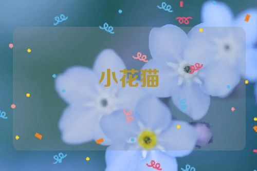 小花猫
