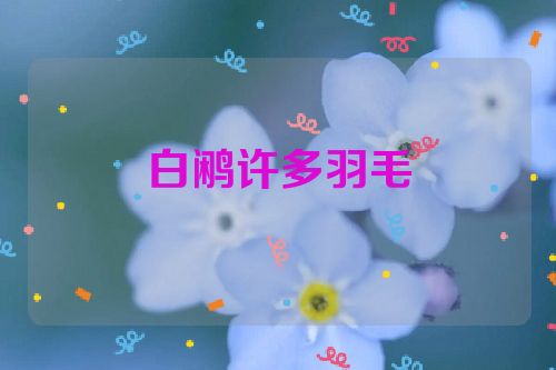 白鹇许多羽毛