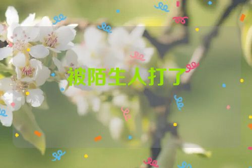 被陌生人打了