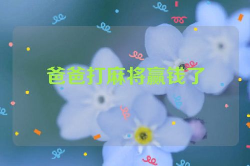 爸爸打麻将赢钱了
