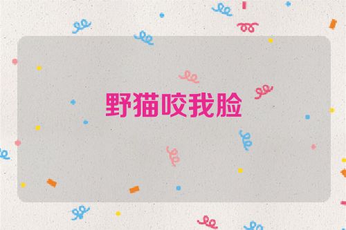 野猫咬我脸