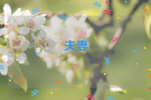 夫妻