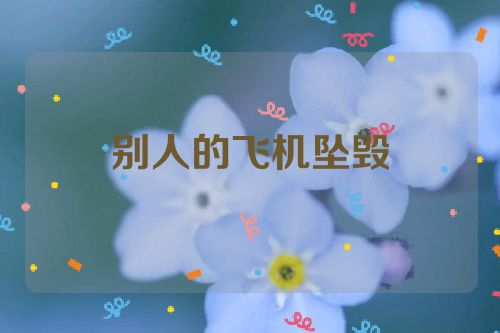 别人的飞机坠毁