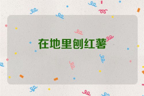在地里刨红薯