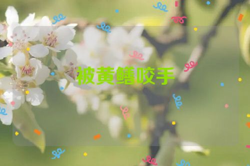 被黄鳝咬手