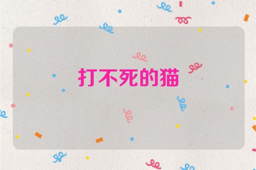打不死的猫