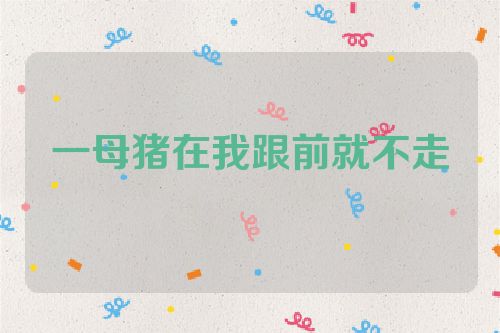 一母猪在我跟前就不走