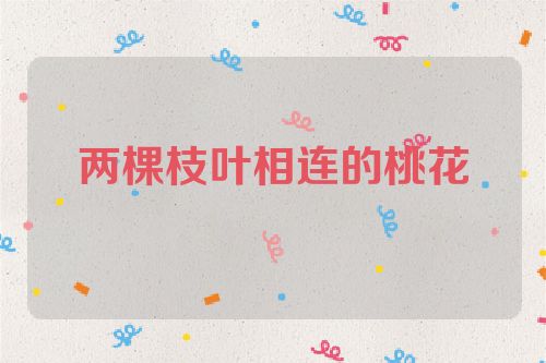 两棵枝叶相连的桃花