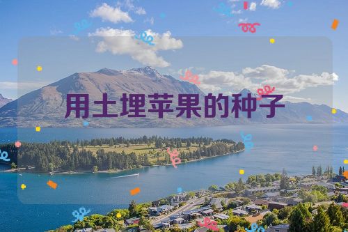用土埋苹果的种子