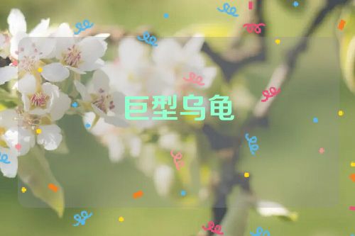 巨型乌龟