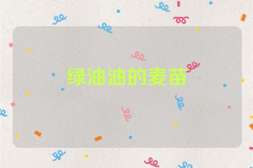 绿油油的麦苗