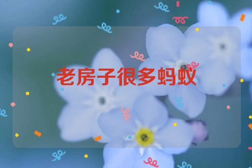 老房子很多蚂蚁