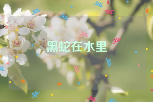 黑蛇在水里