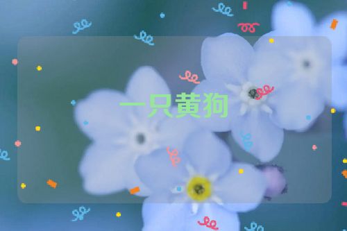 一只黄狗