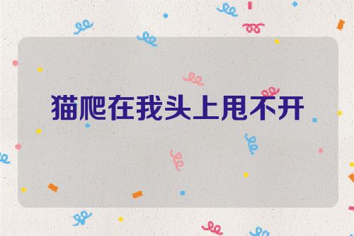 猫爬在我头上甩不开