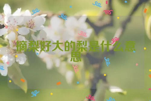 摘梨好大的梨是什么意思