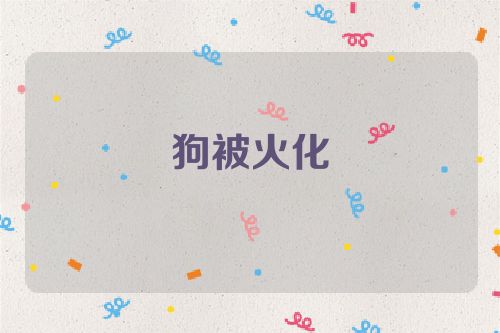 狗被火化