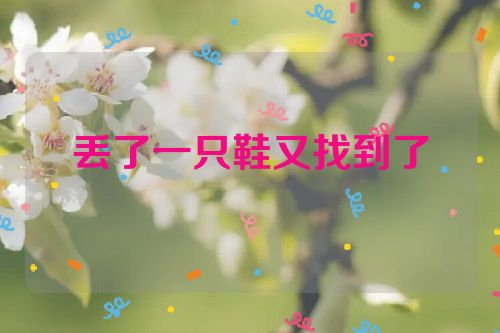 丢了一只鞋又找到了