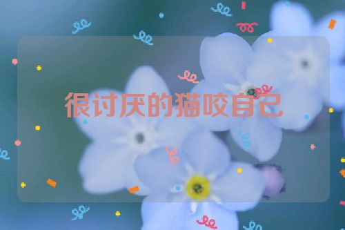 很讨厌的猫咬自己