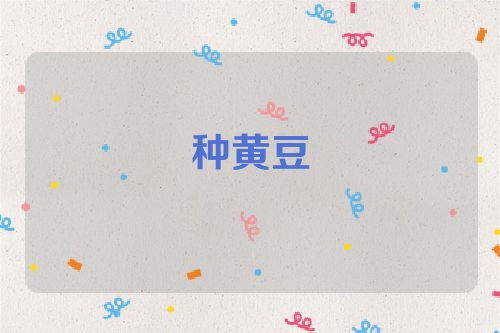 种黄豆