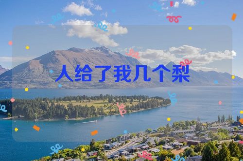 人给了我几个梨